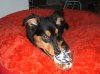 DSCF4692.jpg