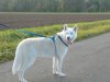 2011-10-08 16.56.27.jpg