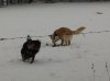 2011-12-18 14.08.09.jpg