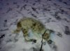 DSC01356.jpg