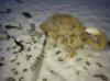 DSC01360.jpg