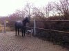 Bild 014.jpg