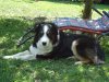DSC00957.jpg