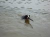DSC00963.jpg