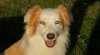 Bild237.jpg