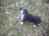 Rocky 011.jpg