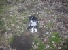 Rocky 007.jpg