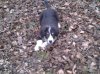 Rocky 035.jpg