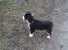 Rocky 020.jpg