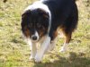 Februar 2011 (12).jpg