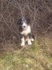 Rocky 020.jpg