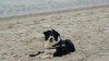 DSC08288 P.jpg