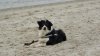 DSC08282 P.jpg