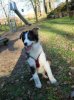 DSCN1120.jpg