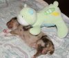 DSC00500.jpg