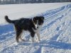 DSCN0904.JPG