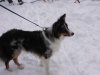 schnee 2.jpg
