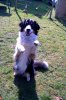 DSC08529.jpg