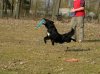 24-03-2012 08 Kopie.jpg