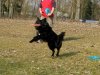 24-03-2012 07 Kopie.jpg