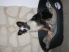 DSCF2203.jpg