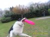 SAM_6077.jpg