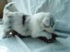 DSC00172.jpg