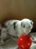 DSC00178.JPG