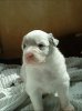 DSC00180.JPG