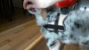 2012-05-04 18.18.12.jpg