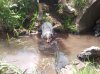 2012-05-10 12.52.15.jpg