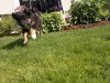 13052012986.jpg