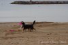 IMGP0423.jpg