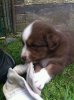 IMG-20120529-WA0033.jpg