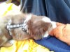 20120627_150027.jpg