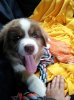 20120627_135327.jpg