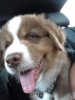 20120627_135553.jpg