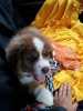 20120627_135323.jpg