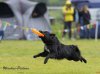 Outer Rim Cup 2012 04.jpg