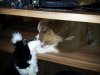 20120628_084550.jpg