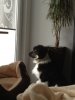 Foto8.JPG