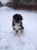 Foto6.JPG