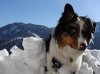 DSC08438.jpg