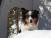 DSC08416.jpg