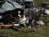 DSC08669.jpg