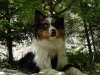 DSC08695.jpg