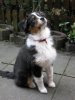 Nala-1.jpg