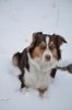DSC_0618.jpg