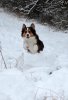 DSC_0668 bea..jpg