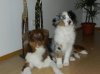 DSCN3213.jpg